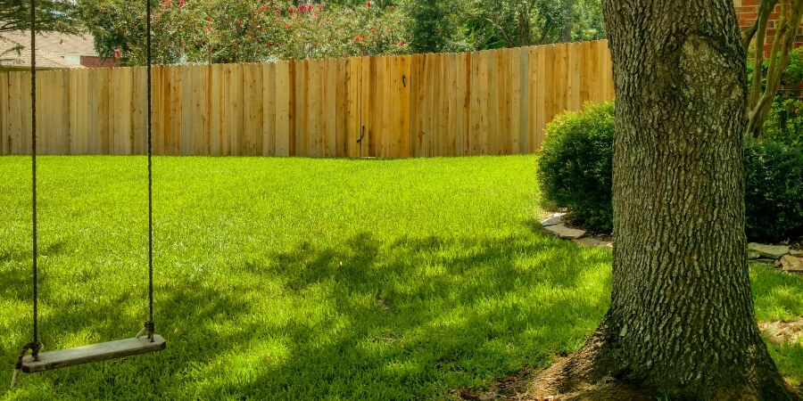 Benefits of a healthy lawn and yard