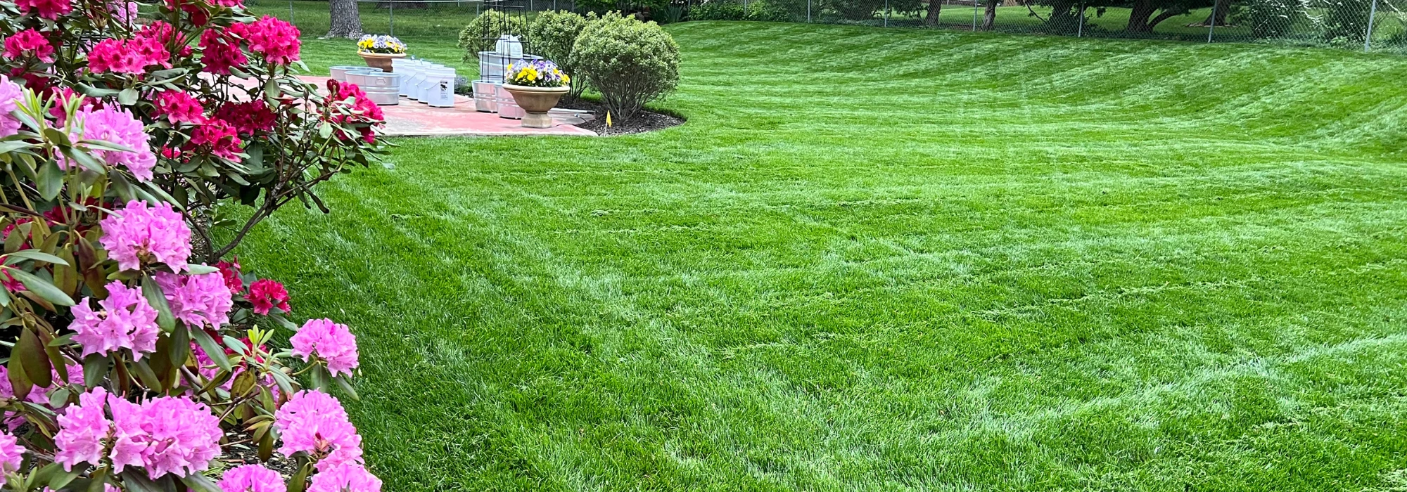 Graham - Overland Park, KS green lawn