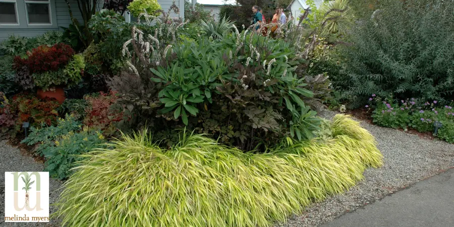 Bugbane & Hakone Grass