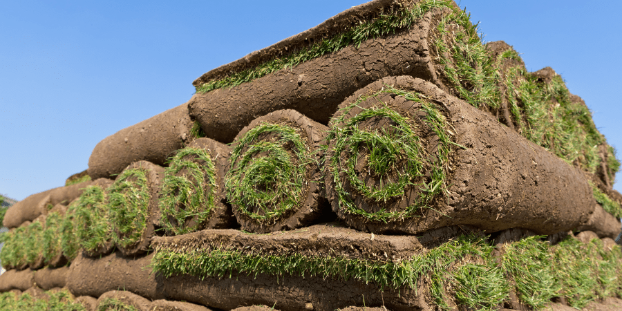 rolls of sod