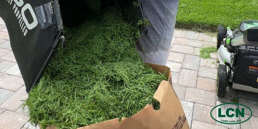 bagging grass and putting into paper bag