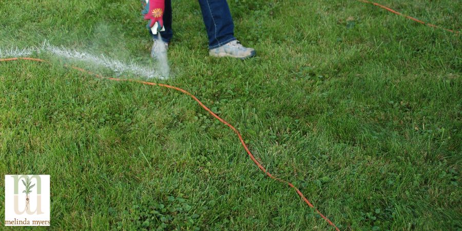 MM Rain garden lining up the rain garden  900x450 -min.jpg