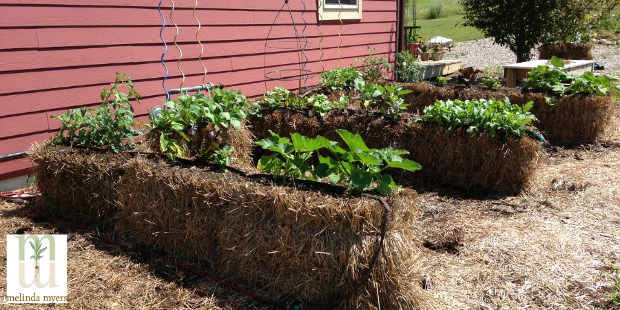 straw bale garden
