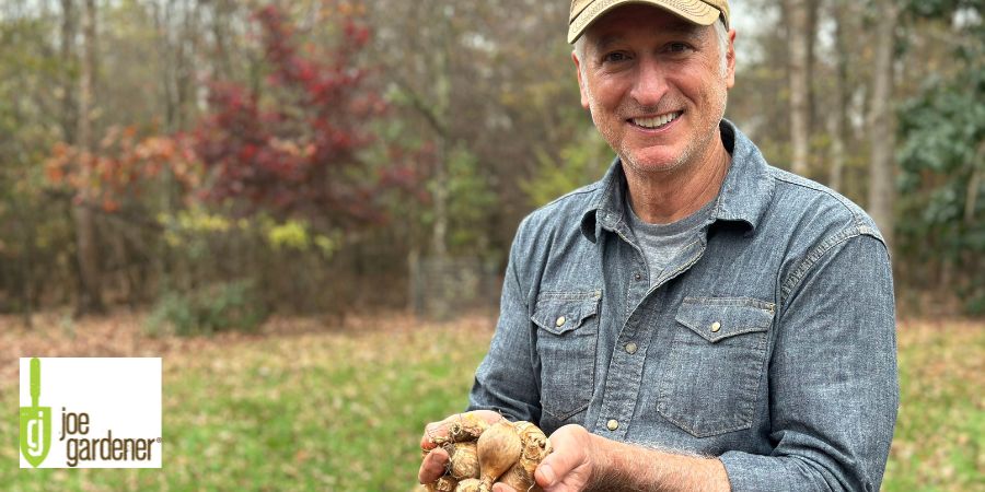 joe gardener holding bulbs