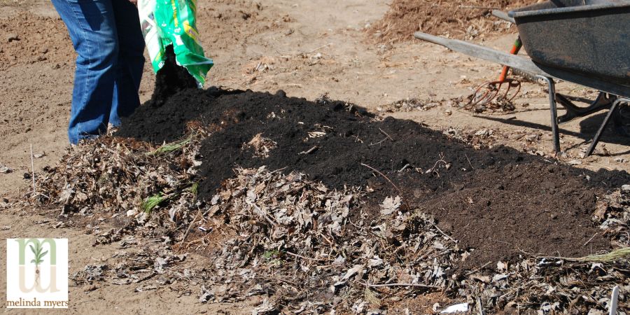 How to Start a No Dig Garden - Pass the Pistil