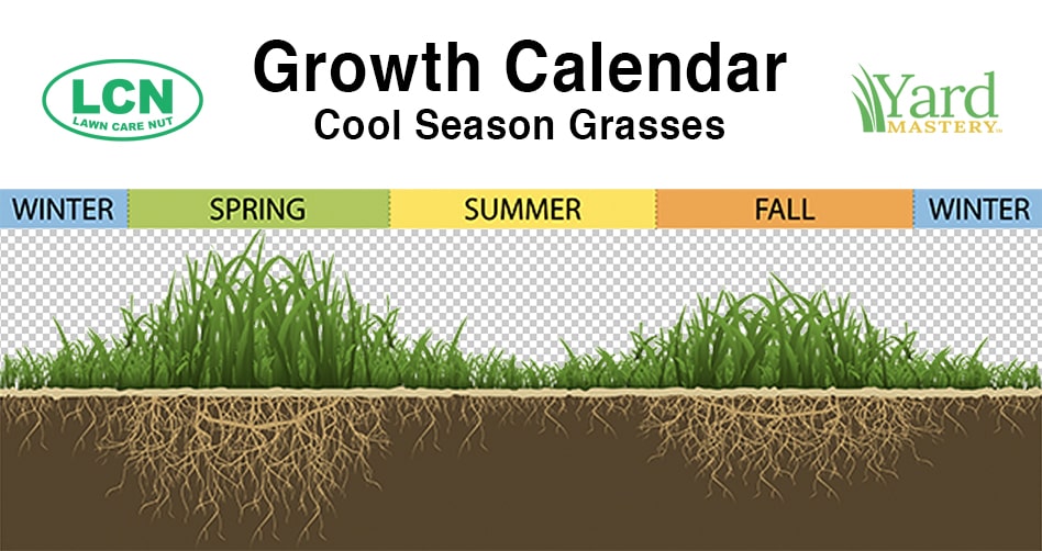 Cool season grass growth calendar