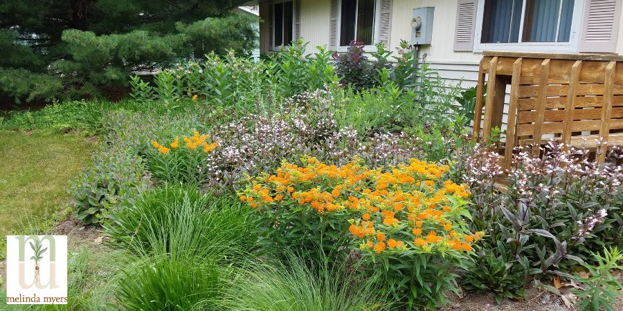 pollinator garden