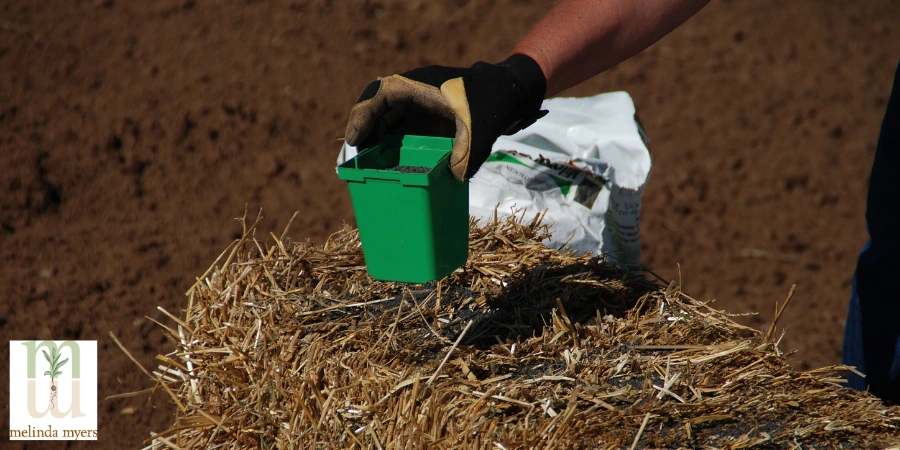 spreading milorganite on straw bale